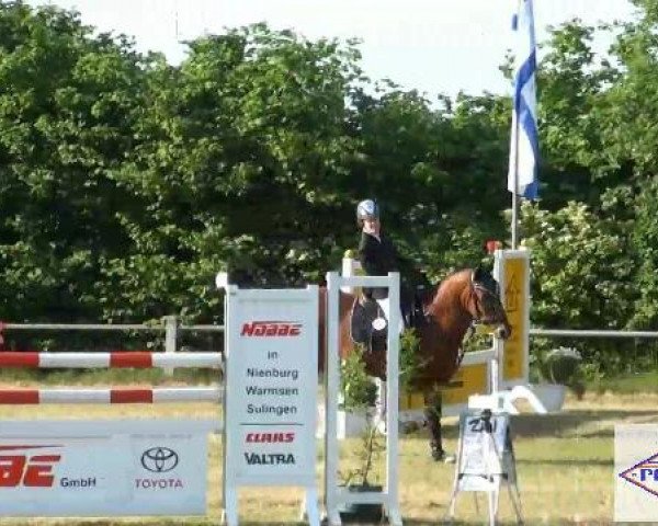 Pfingst-Reitturnier Kreuzkrug-Raddestorf 2012