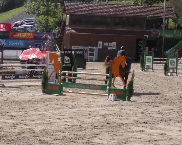 Reitturnier Preding 2022