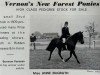 broodmare Burnrew Vanessa (New Forest Pony, 1965, from Burnrew Peregrine)