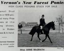 Zuchtstute Burnrew Vanessa (New-Forest-Pony, 1965, von Burnrew Peregrine)