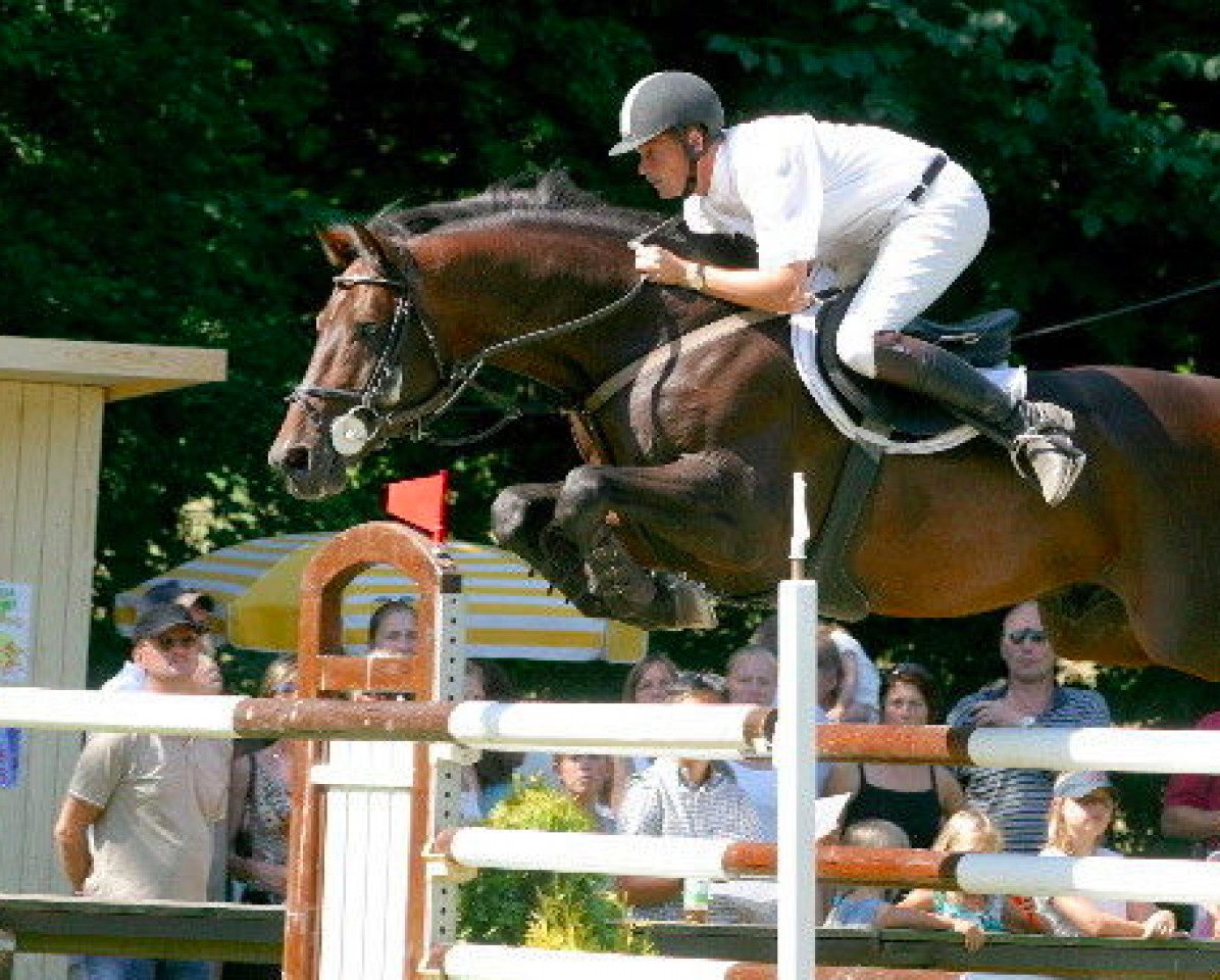 stallion Condios (Holsteiner, 1995, from Coriano)