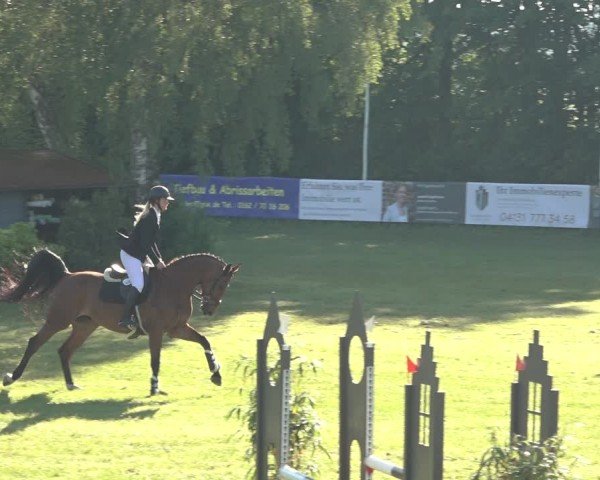 Reitturnier Scharnebeck 2024