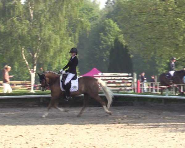 Reitturnier Hamm-Rhynern 2024