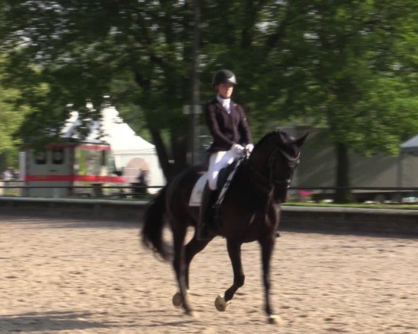 Reitturnier Hamm-Rhynern 2024