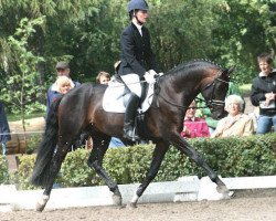 Deckhengst Choral 3 (Trakehner, 2005, von Hohenstein I)