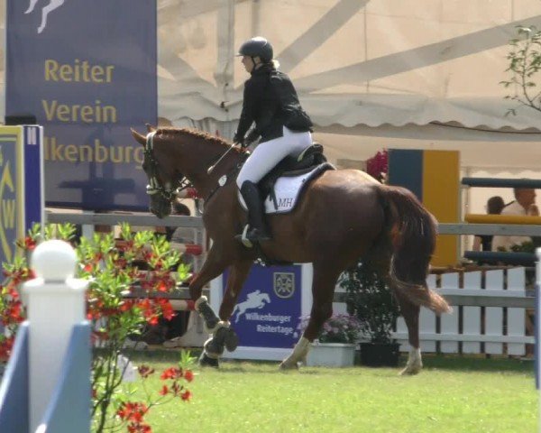 Reitturnier Wilkenburg 2024