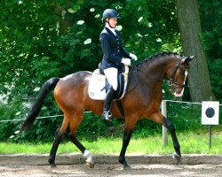 dressage horse Get The Beat (Trakehner, 2009, from Freudenfest)