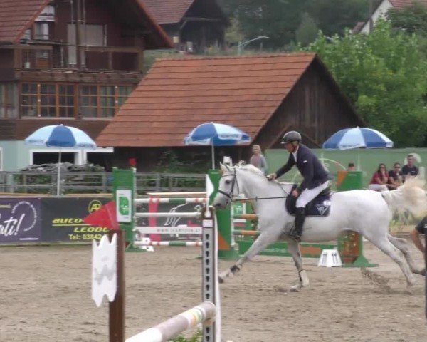 Reitturnier Gniebing-Feldbach 2022