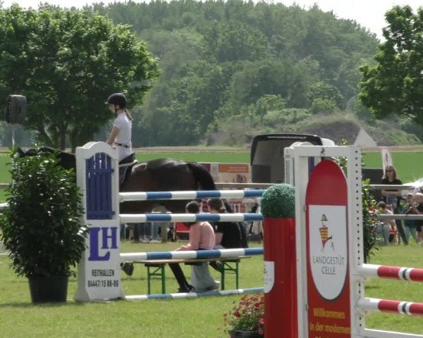 Reitturnier Wilkenburg 2024