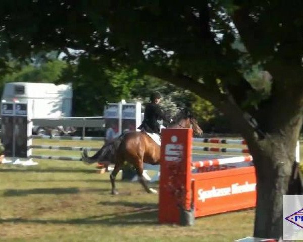 Pfingst-Reitturnier Kreuzkrug-Raddestorf 2012