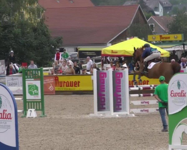 Reitturnier Gniebing-Feldbach 2022