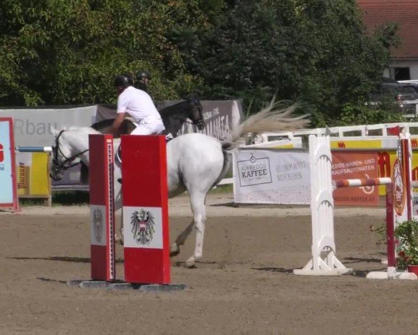 Reitturnier Gniebing-Feldbach 2022