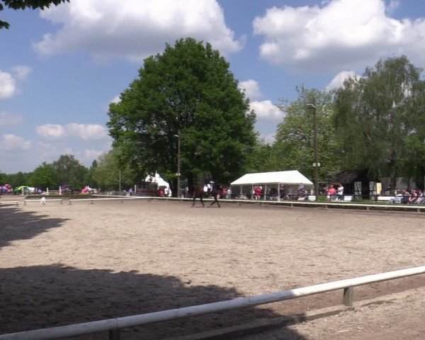 Reitturnier Hamm-Rhynern 2024