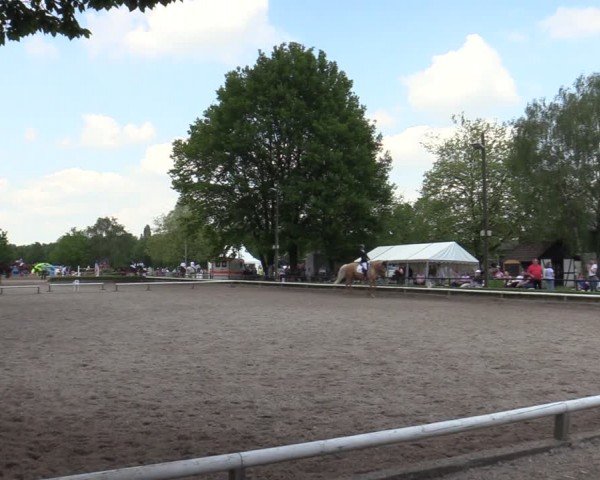 Reitturnier Hamm-Rhynern 2024