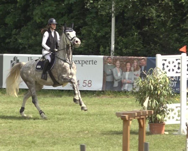 Reitturnier Scharnebeck 2024