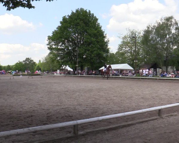Reitturnier Hamm-Rhynern 2024