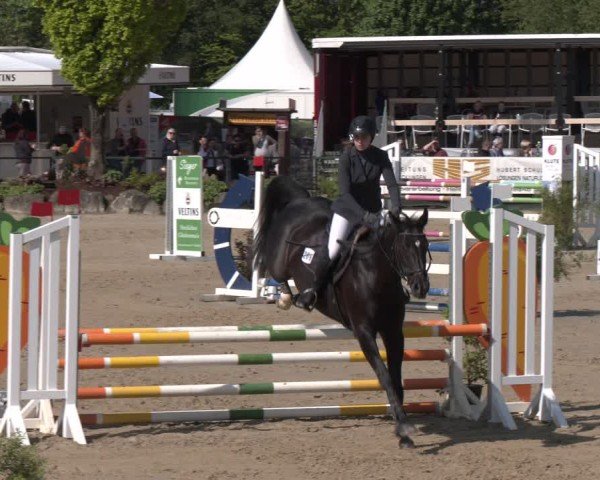 Reitturnier Hellefeld 2024