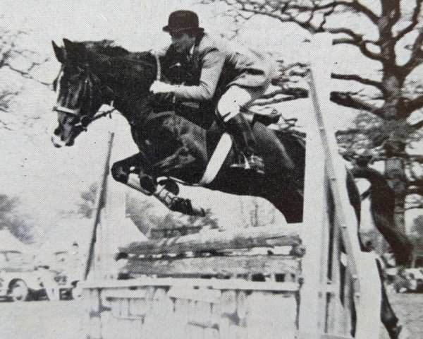 Zuchtstute Ramblers Siesta (New-Forest-Pony, 1959, von Monkshorn Rocket)