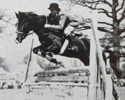 broodmare Ramblers Siesta (New Forest Pony, 1959, from Monkshorn Rocket)