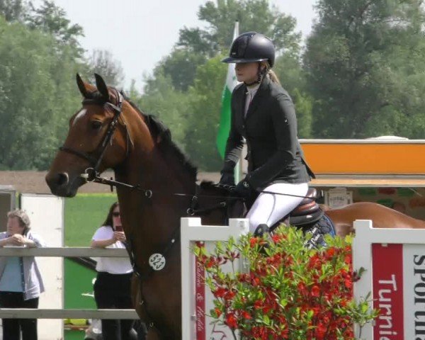 Reitturnier Wilkenburg 2024