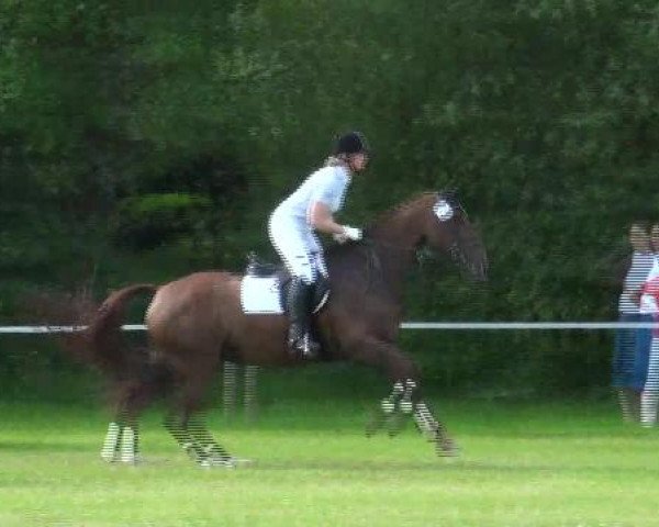 Großes Sommerturnier in Hille 2012