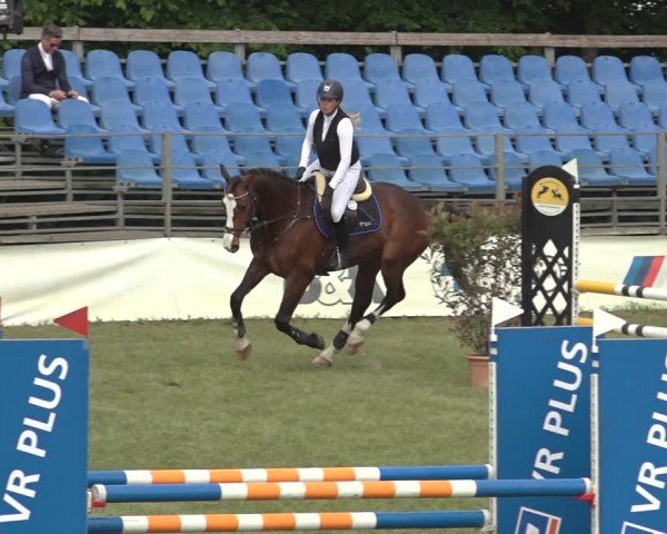 Reitturnier Scharnebeck 2024