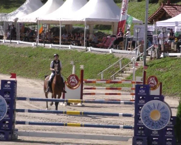 Reitturnier Preding 2022