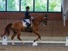 dressage horse Beat of My Heart (Rhinelander, 2013, from Belissimo NRW)