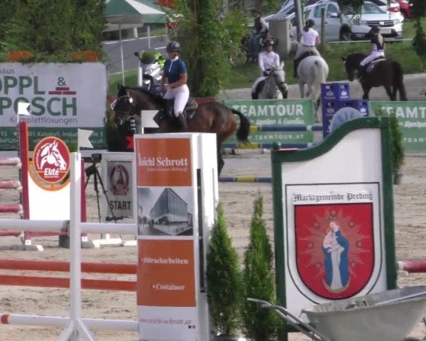 Reitturnier Preding 2022