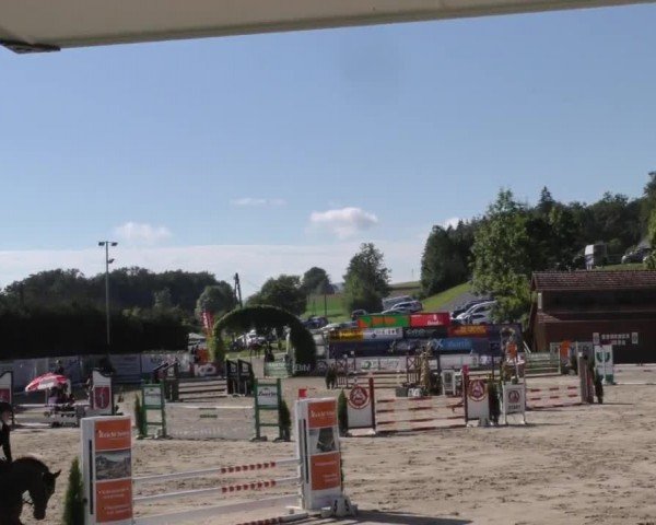 Reitturnier Preding 2022