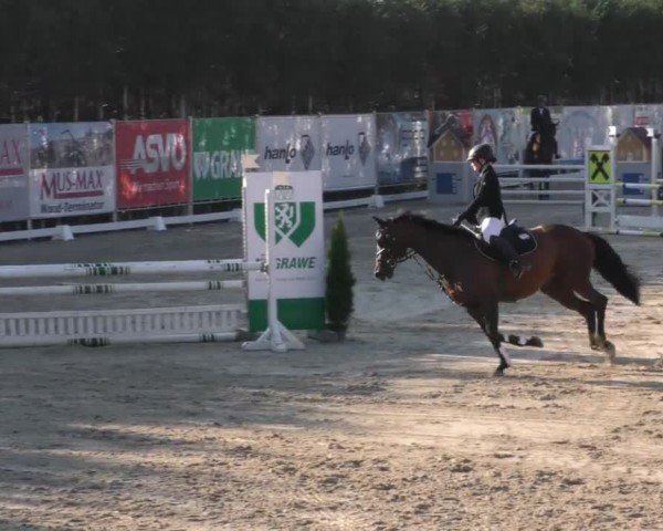 Reitturnier Preding 2022