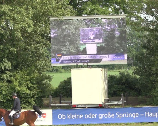 Reitturnier Scharnebeck 2024