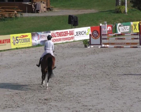Reitturnier Zeltweg-Farrach 2022