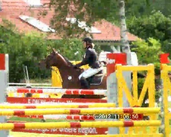 Großes Sommerturnier in Hille 2012
