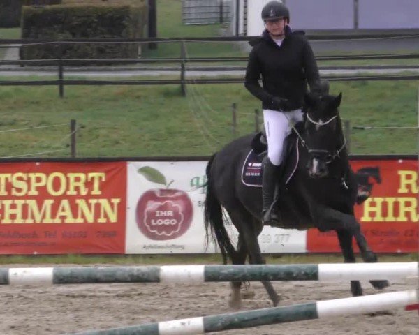Reitturnier Gniebing-Feldbach 2022