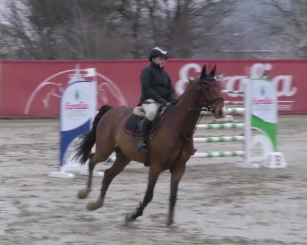 Reitturnier Gniebing-Feldbach 2022