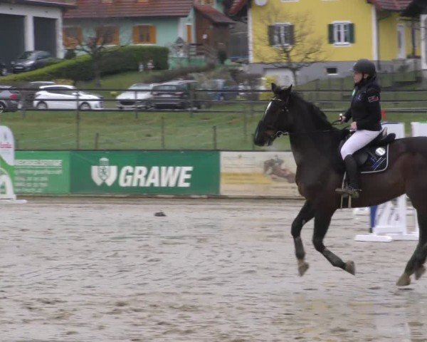 Reitturnier Gniebing-Feldbach 2022