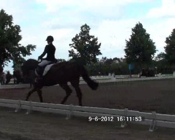 Großes Sommerturnier in Hille 2012