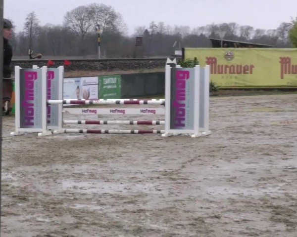 Reitturnier Gniebing-Feldbach 2022