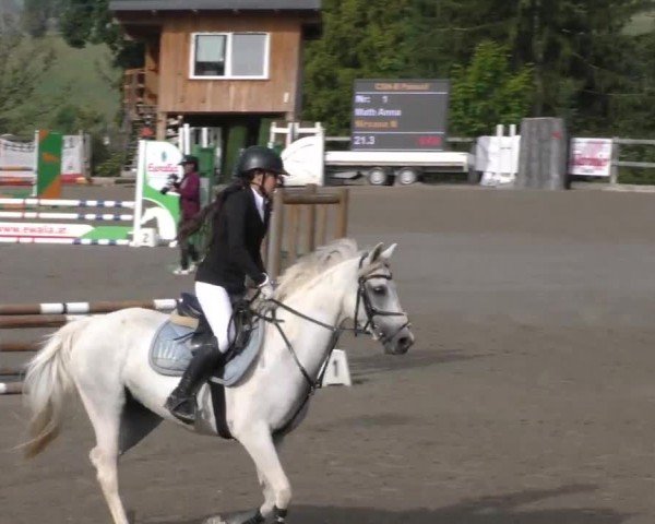 Reitturnier Passail 2022