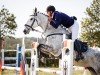 jumper Grazia 137 (German Sport Horse, 2013, from Cassone)