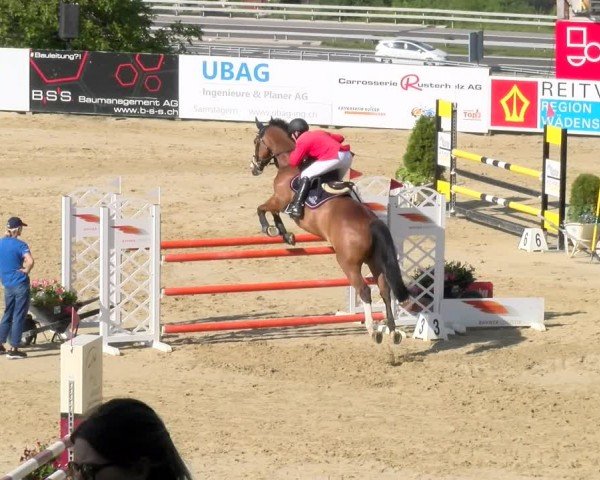 Reitturnier Wädenswil 2024