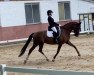 dressage horse Susi Sorglos 9 (Oldenburg, 2008, from Sorento OLD)