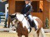 dressage horse Jule 364 (Pony without race description, 2005)