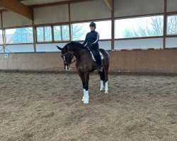 broodmare Barabell (Hanoverian, 2019, from Callaho's Benicio)