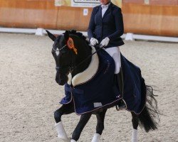 dressage horse Nayeli-Duti N (KWPN (Royal Dutch Sporthorse), 2018)