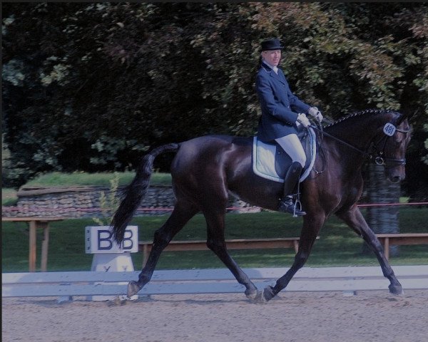 dressage horse Guanera Rr CH (Swiss Warmblood, 2002, from De Niro)