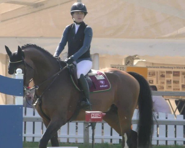 Reitturnier Wilkenburg 2024