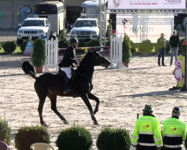 Basler Pferdesporttage Schänzli 2021