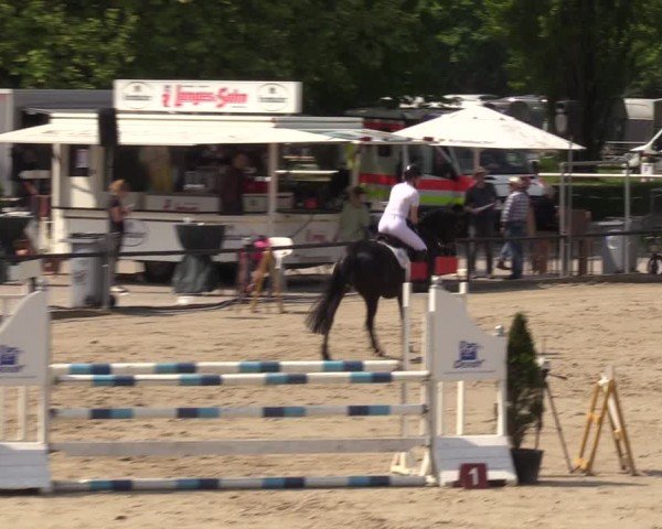 Reitturnier Hamm-Rhynern 2024